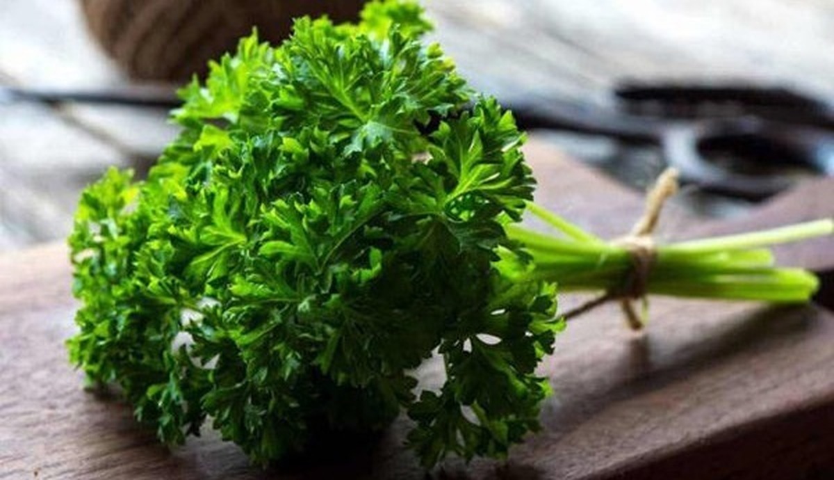 این سبزی خوشمزه سه برابر پرتقال ویتامین C دارد