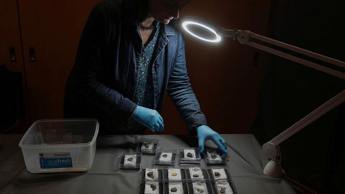 کشف گردنبند ۱۳۰۰ ساله «کمیاب» متعلق به زنان عالی‌رتبه قرون وسطایی در بریتانیا