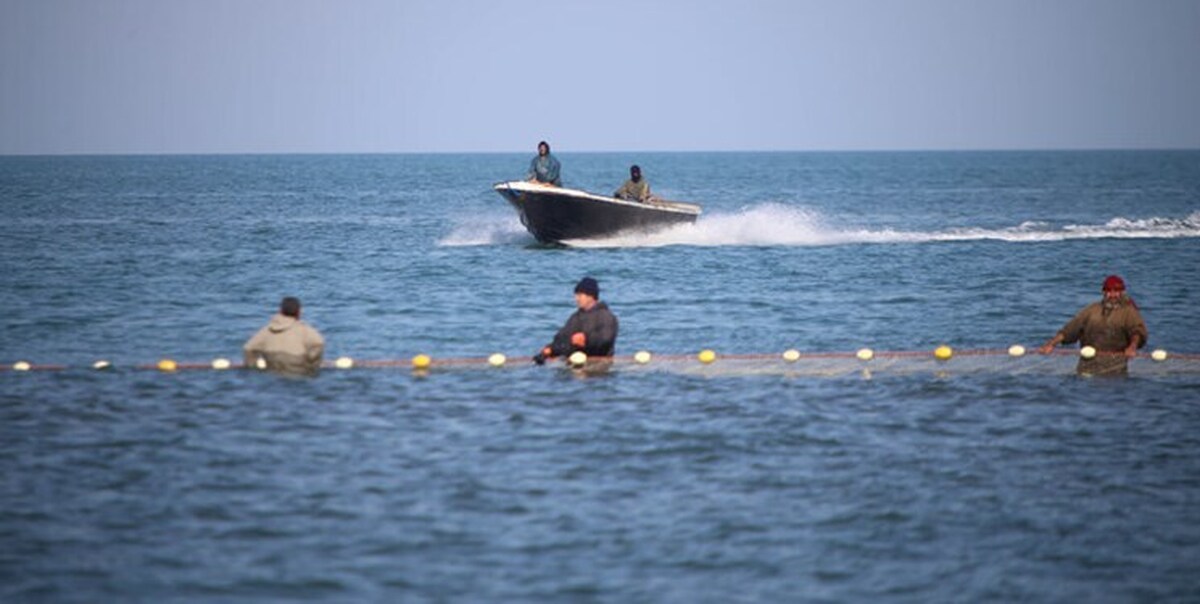نجات ۳ صیاد مفقود شده در خلیج‌فارس/ فرماندار: به علت تمام شدن بنزین قایق در امواج متلاطم دریا سرگردان بودند