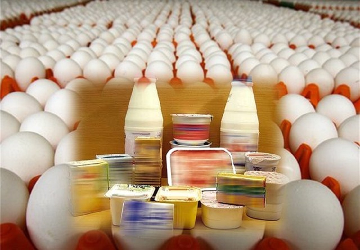 نتایج یک پژوهش: فرآورده‌های دامی برای خانوارهای فقیر کالای ضروری محسوب نمی‌شوند / شوک قیمتی فرآورده‌های دامی بر امنیت غذایی جامعه