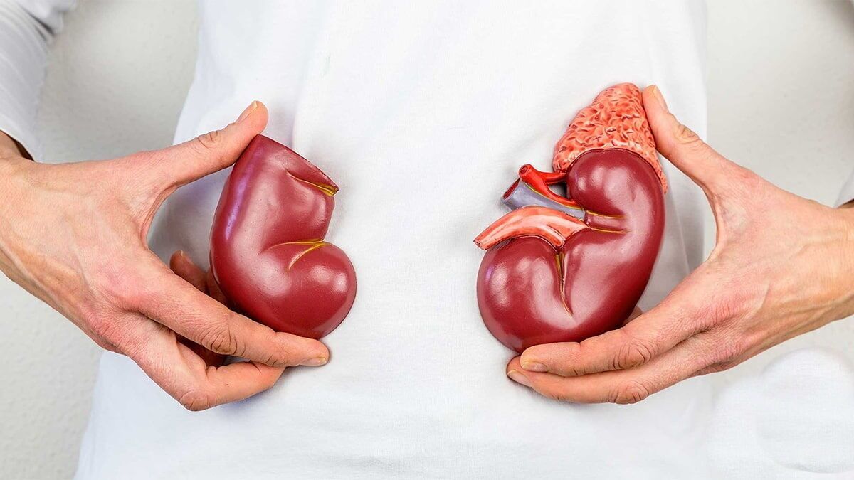 8 ماده غذایی مفید برای سلامت کلیه‌ (اینفوگرافیک)