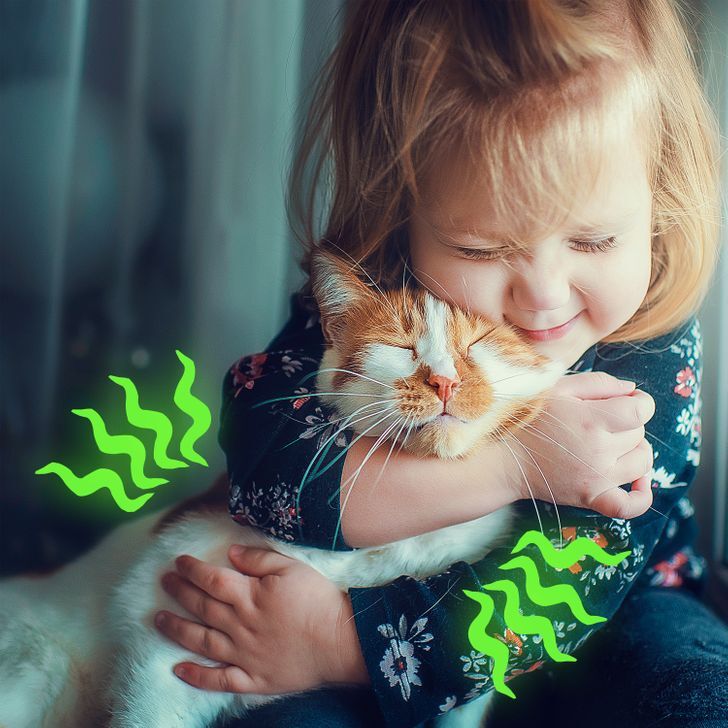 پاسخ به ۱۲ سؤال ساده که همیشه دلمان می خواست جوابشان را بدانیم