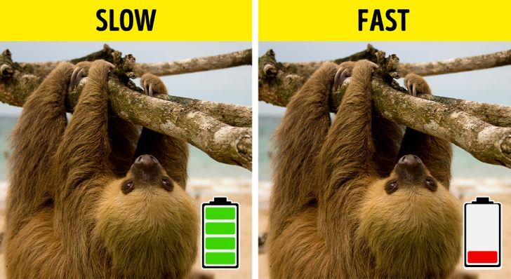 پاسخ به ۱۲ سؤال ساده که همیشه دلمان می خواست جوابشان را بدانیم