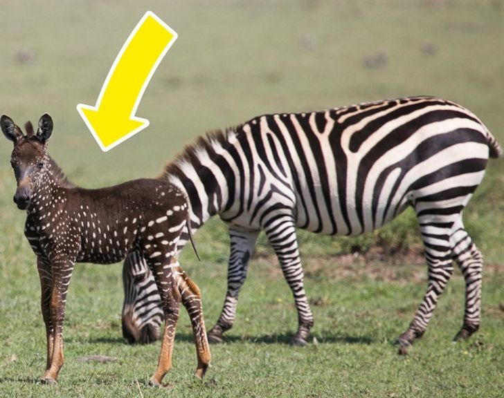 پاسخ به ۱۲ سؤال ساده که همیشه دلمان می خواست جوابشان را بدانیم