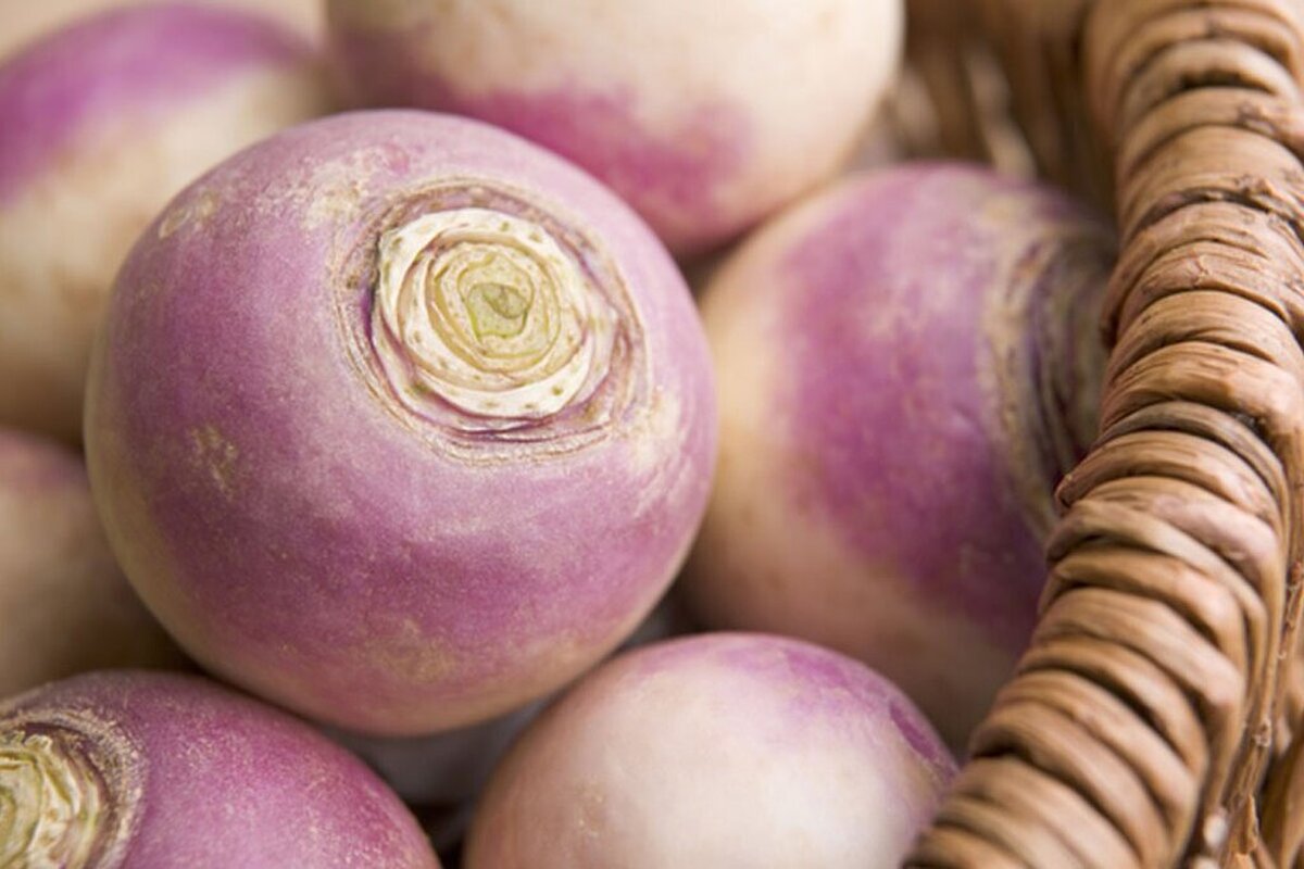 معجزه معجون شلغم و عسل برای سرماخوردگی