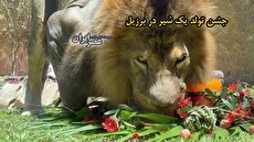 تداوم آلودگی هوای تهران / کاهش تدریجی دما