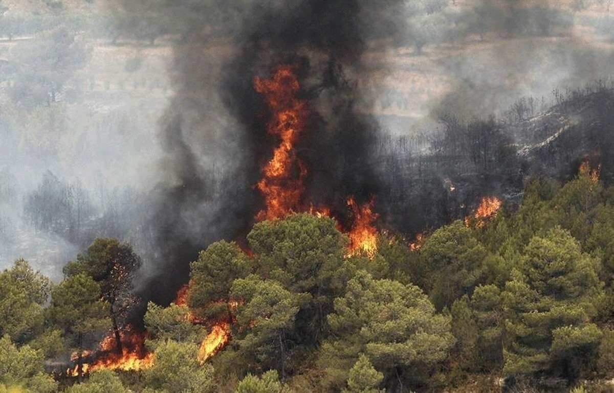 آتش در جنگل‌های هیرکانی همچنان شعله‌ور است