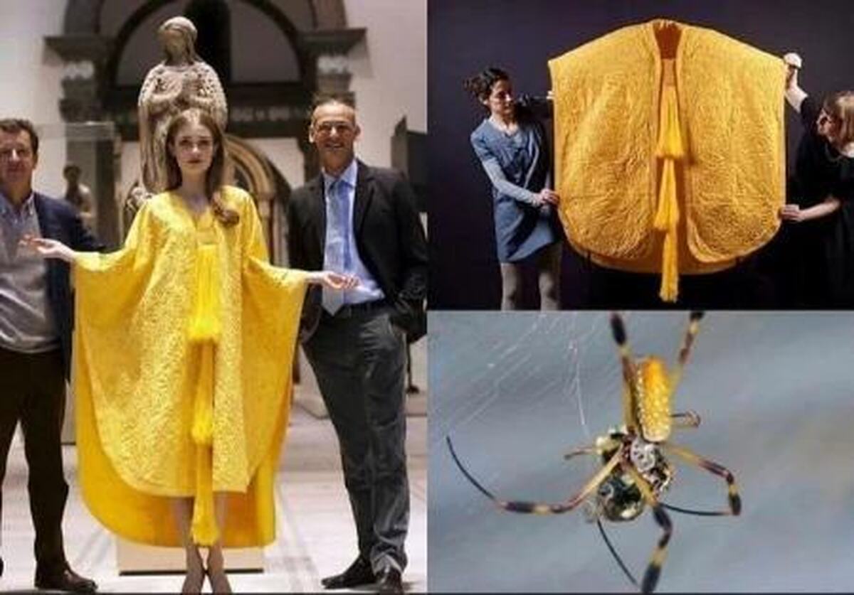 دوختِ نادرترین لباس دنیا از ابریشم طلایی (عکس)