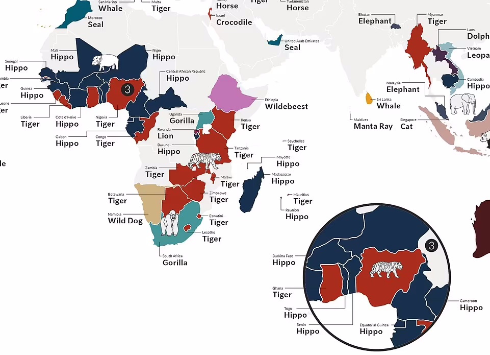 محبوب ترین حیوانات در نقاط مختلف جهان کدامند؟ (اینفوگرافیک) محبوب ترین حیوانات در نقاط مختلف جهان کدامند؟ (اینفوگرافیک)