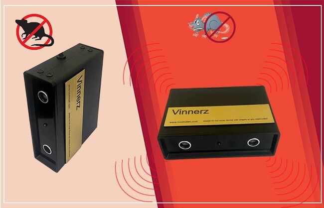 موش از چه چیزی بدش میاد؟