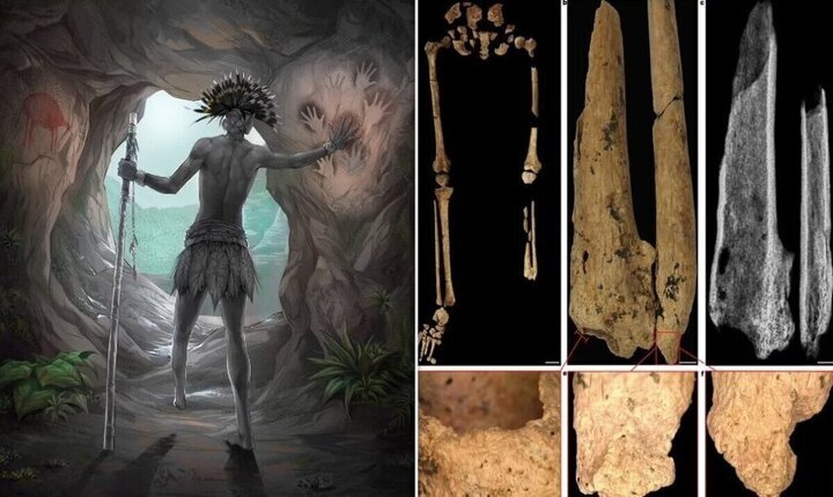 کشف راز باورنکردنی این اسکلت نادر ۳۱ هزار ساله (+عکس)