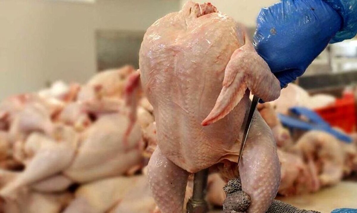 یک فروشنده: مرغ عمده‌ای را کیلویی ۷۵ هزار تومان می‌خریم؛ چطور آن را ۶۳ هزار تومان بفروشیم؟
