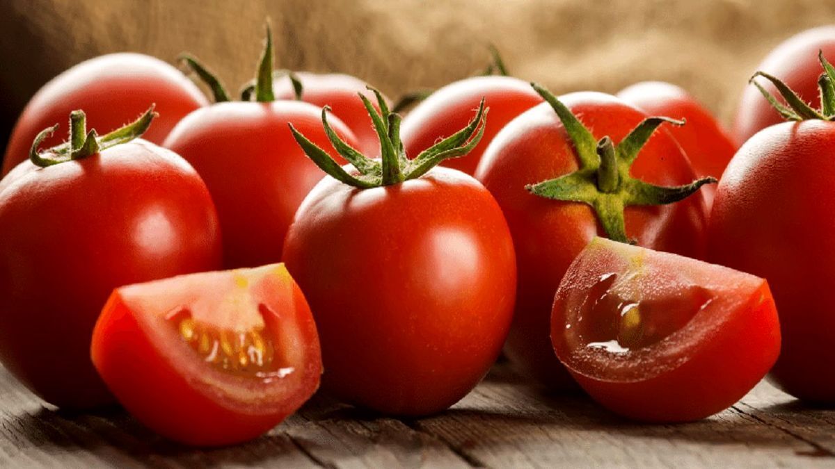 ایسنا: قیمت هر کیلو گوجه فرنگی ۲۶ هزار تومان