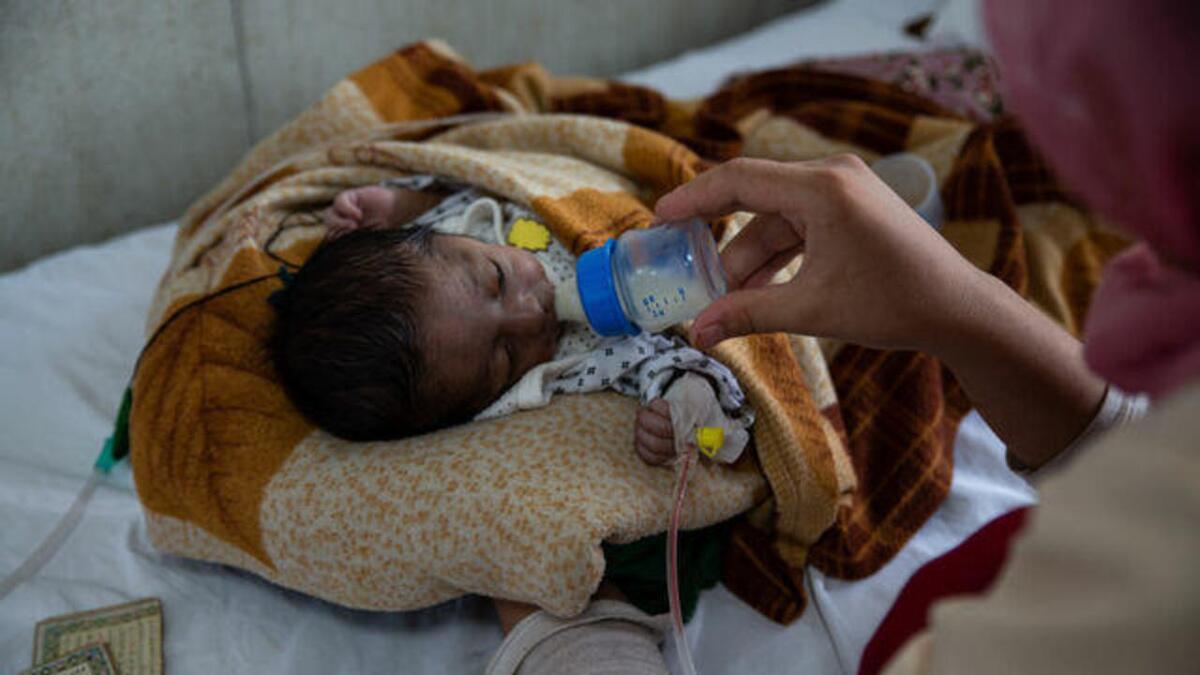 سازمان بهداشت جهانی: روزانه ۱۶۷ نوزاد در افغانستان می‌میرند/ نیمی از جمعیت افغانستان با گرسنگی مواجهند/ تأثیر ناامنی حاد غذایی در این کشور ویرانگر است