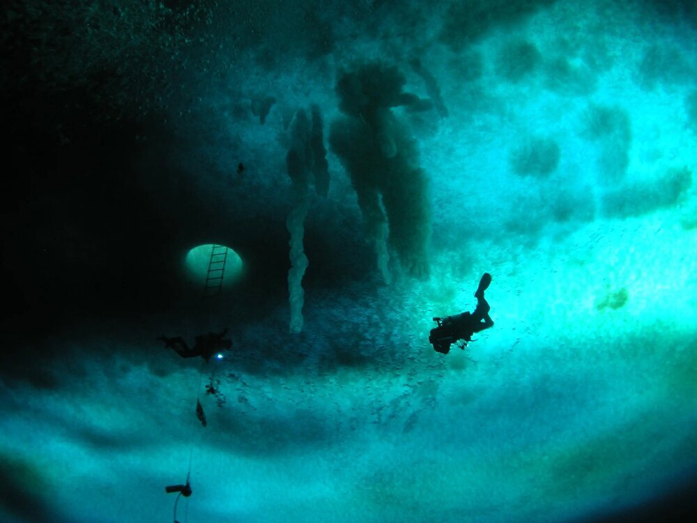 ظاهر شدن «انگشت‌مرگ» در اعماق تاریکی! (+عکس)