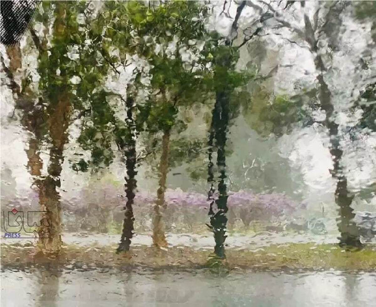 تصادفیترین لحظاتی که دوربینها شکار کردند و خیره کننده شد (عکس) تصادفیترین لحظاتی که دوربینها شکار کردند و خیره کننده شد (عکس)