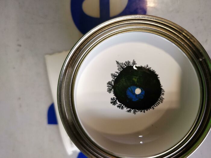 تصادفیترین لحظاتی که دوربینها شکار کردند و خیره کننده شد (عکس) تصادفیترین لحظاتی که دوربینها شکار کردند و خیره کننده شد (عکس)