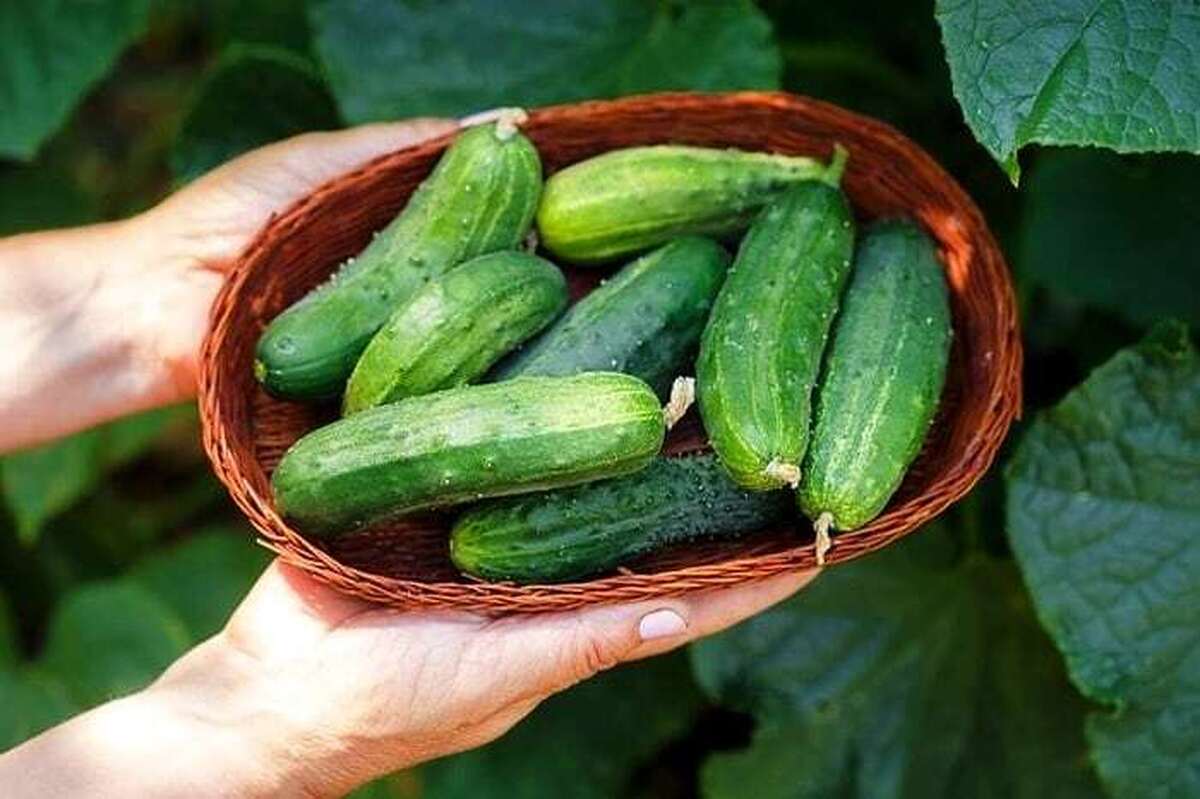 8 خاصیت شگفت‌انگیز خیار