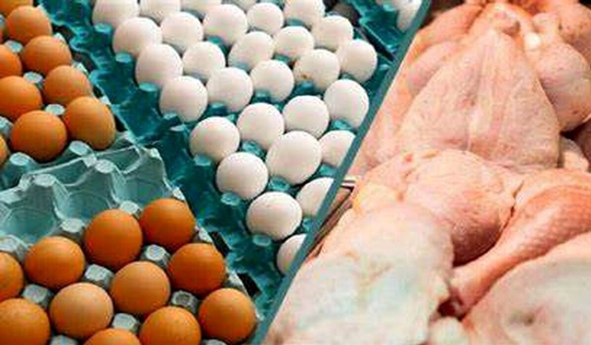 وزارت کشاورزی اعلام کرد: مرغ کیلویی ۷۳ هزار تومان؛ تخم‌مرغ شانه‌ای ۱۰۰ هزار تومان