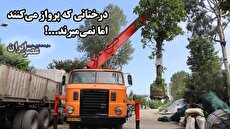 های فای اکس؛ ماشین چینی که حتما باید دید حتی مخالفان! (+ فیلم و عکس) 12