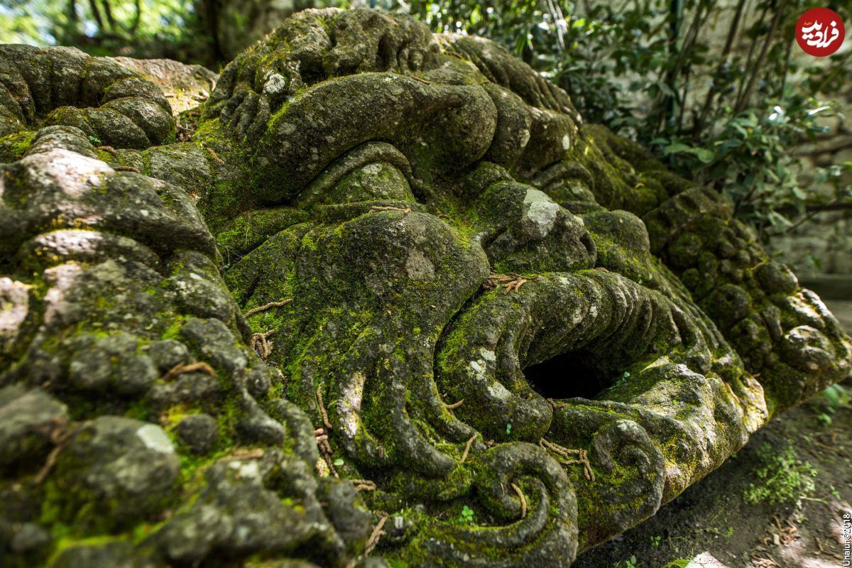 هیولاهای سنگی در رازآلودترین «باغ» جهان