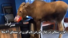 ترامپ مناظره‌های انتخابات ریاست جمهوری را تهدید به تحریم کرد 2