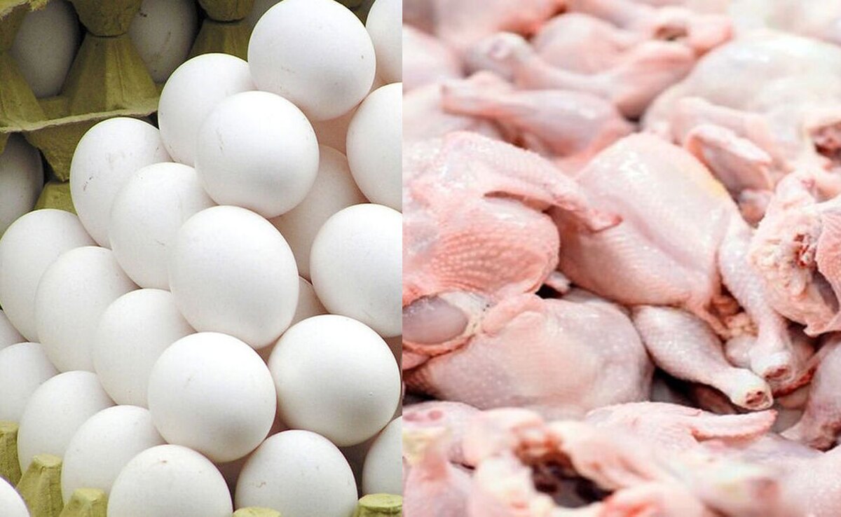 مدیرکل دفتر بازرسی: قیمت گوشت مرغ و تخم مرغ هیچگونه افزایشی ندارد
