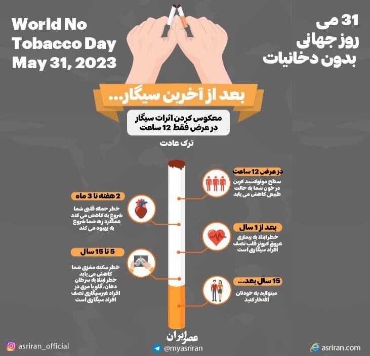 ۳۱ می روز جهانی بدون دخانیات/ بعد از آخرین سیگار... (اینفوگرافیک)