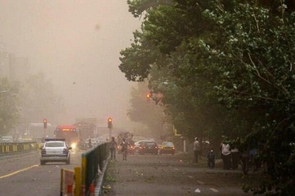 طوفان در تهران و شکستن تعدادی از درختان (عکس)