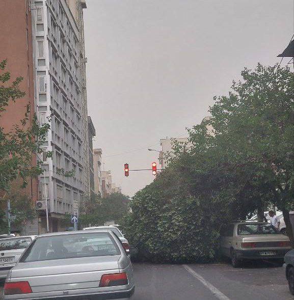 طوفان در تهران و قطع تعدادی از درختان (عکس)