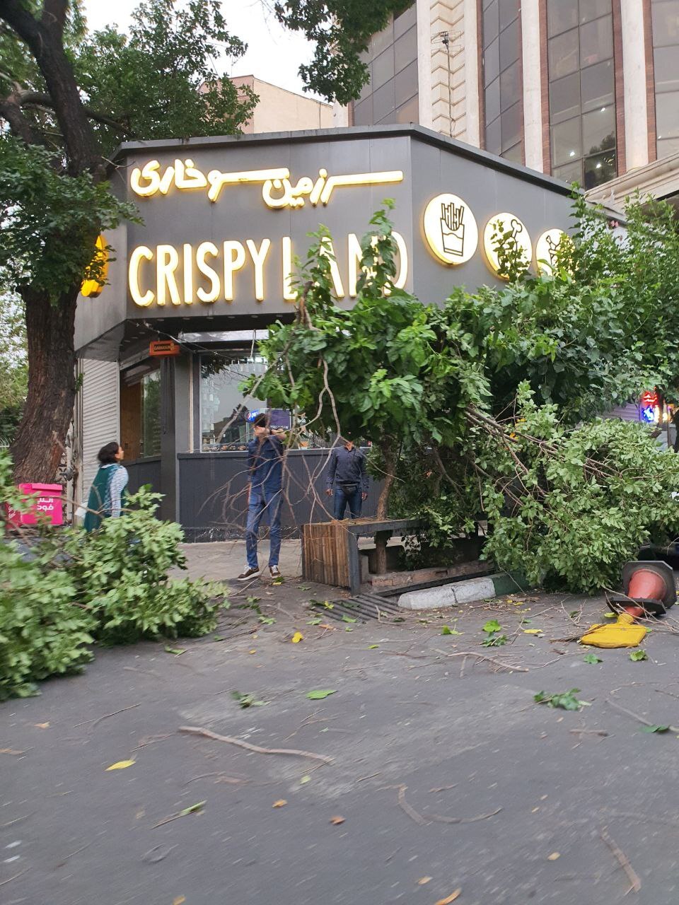 طوفان در تهران و قطع تعدادی از درختان (عکس)