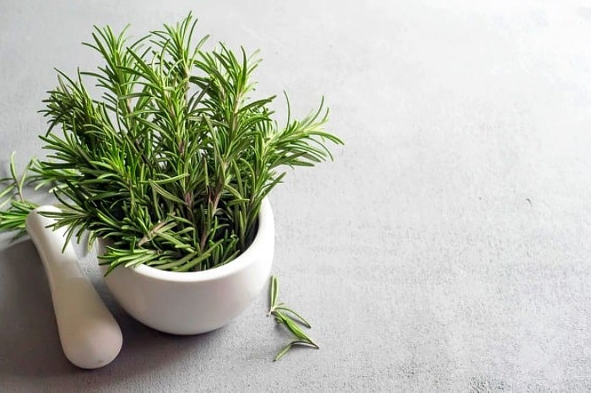 ادویه های معجزه گر در چربی سوزی را بشناسید / ادویه های مناسب برای لاغری در مدت زمان کم