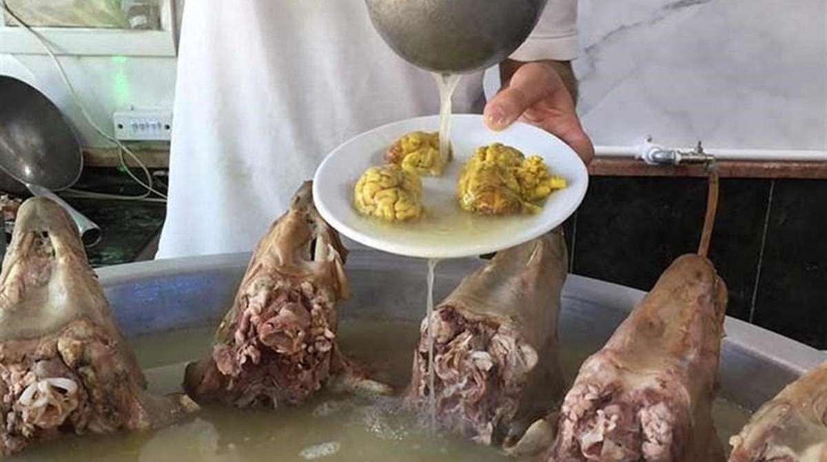 قسمت های مفید و مضر کله پاچه / خاصیت خاص این غذای سنگین که نمی دانستید!
