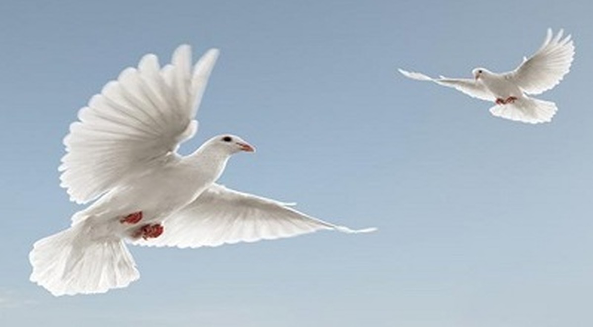 حسین؛ فراتر از سنت و با نگاه مدرن -3/ آزادی، پیام‌رسانی، فرادینی و الهام بخشی هنری