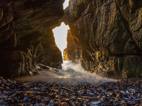 جزیره ای در آفریقای جنوبی