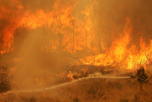 تلاش برای خاموش کردن آتش سوزی طبیعی و گسترده در جنگل های حومه شهر لس آنجلس آمریکا