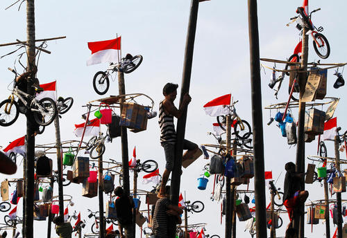 بالا رفتن از چوب های عمود شده به زمین برای برداشتن جوایز در جریان جشنواره ای به مناسبت هفتادویکمین سالگرد استقلال اندونزی – جاکارتا
