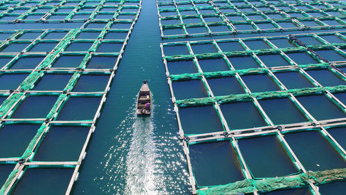 مزرعه پرورش ماهی – چین