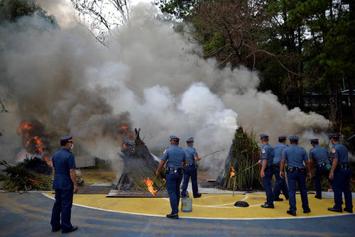 آتش زدن محموله قاچاق ماری جوانا از سوی پلیس فیلیپین
