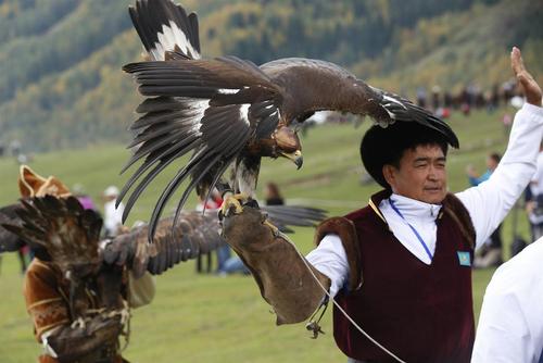مسابقات بین المللی شکار با شاهین در قرقیزستان