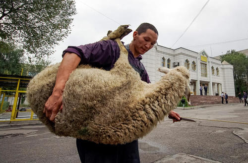 قصاب قزاق در حال حمل یک گوسفند برای قربانی کردن در مسجد جامع شهر آلماتی