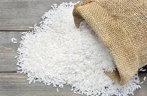 پیش‌بینی رکوردشکنی تولید برنج در استان گیلان