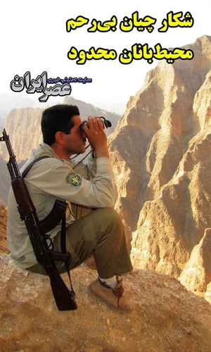 ببینید شکارچیان بی‌رحم چه کار می‌کنند/ وقتی دست محیط‌بانان برای برخورد با این افراد بسته است (فیلم)