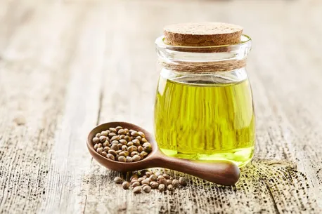 روغن شاهدانه برای مو؛ فواید و محدودیت های آن چیست؟