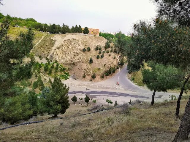 پارک جنگلی کوهسار