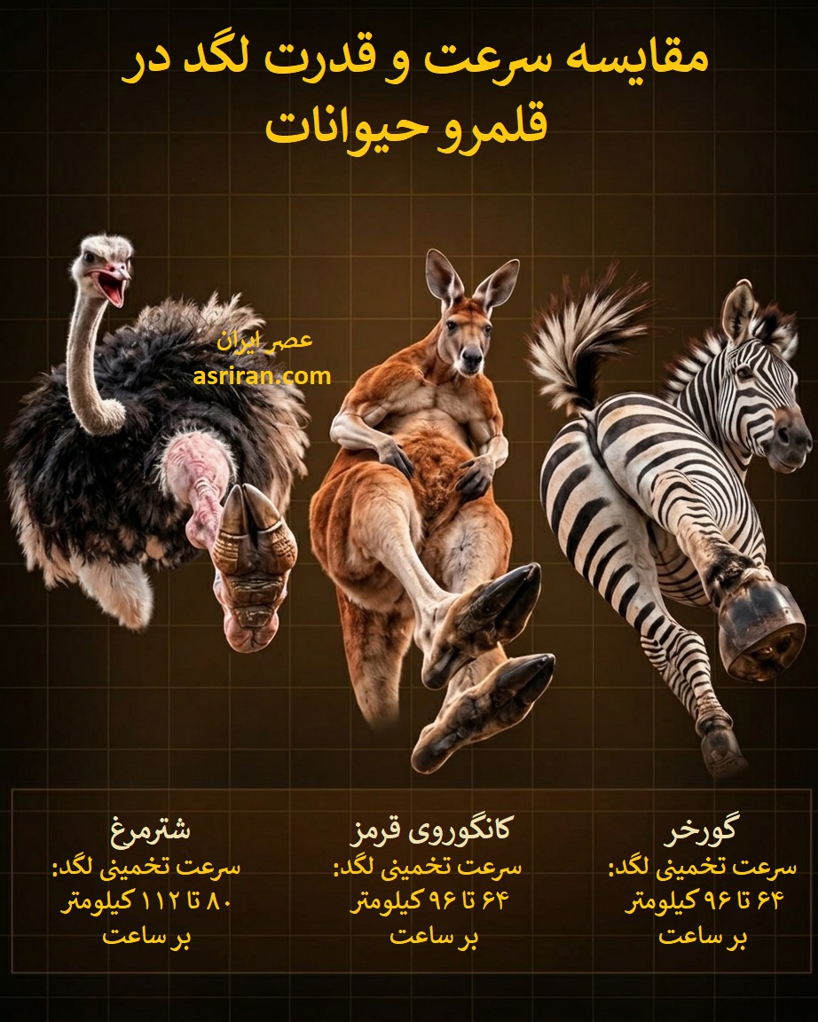 اینفوگرافیک مقایسه سرعت لگد شترمرغ، کانگورو و گورخر اینفوگرافیک مقایسه سرعت لگد شترمرغ، کانگورو و گورخر