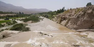 ببینید| وقتی سیلاب سنگ بزرگ را با خود می‌آورد