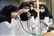 تثبیت ظرفیت پذیرش دانشجوی پزشکی تا سه سال آینده