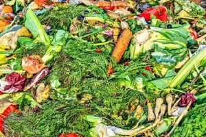 بخش‌های دورریختنی میوه و سبزی، منبعی پنهان از فیبرهای غذایی