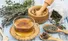 بهترین دمنوش شل‌کننده عضلات چیست؟ ؛ معرفی مؤثرترین گزینه‌ها + طریقه مصرف برای رفع سریع گرفتگی